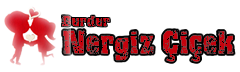 Burdur Nergiz Çiçek-  Burdur Çiçek Siparişi - Burdur Çiçekçisi