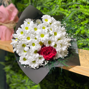  Burdur Çiçek Siparişi - Papatya Tek Gül 