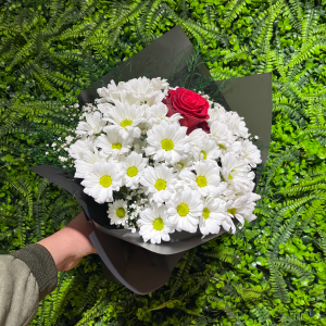  Burdur Çiçek - Papatya Tek Gül 