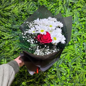  Burdur Çiçek Gönder - Tek Güllü Papatya