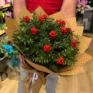  Burdur Çiçek Gönder - 12 Dallı Sade Kokina Buketi